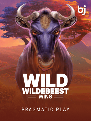 Wild Wildebeest Winspng